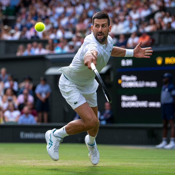 包含温网轻取ATP总决赛，德约科维奇刷新纪录的词条
