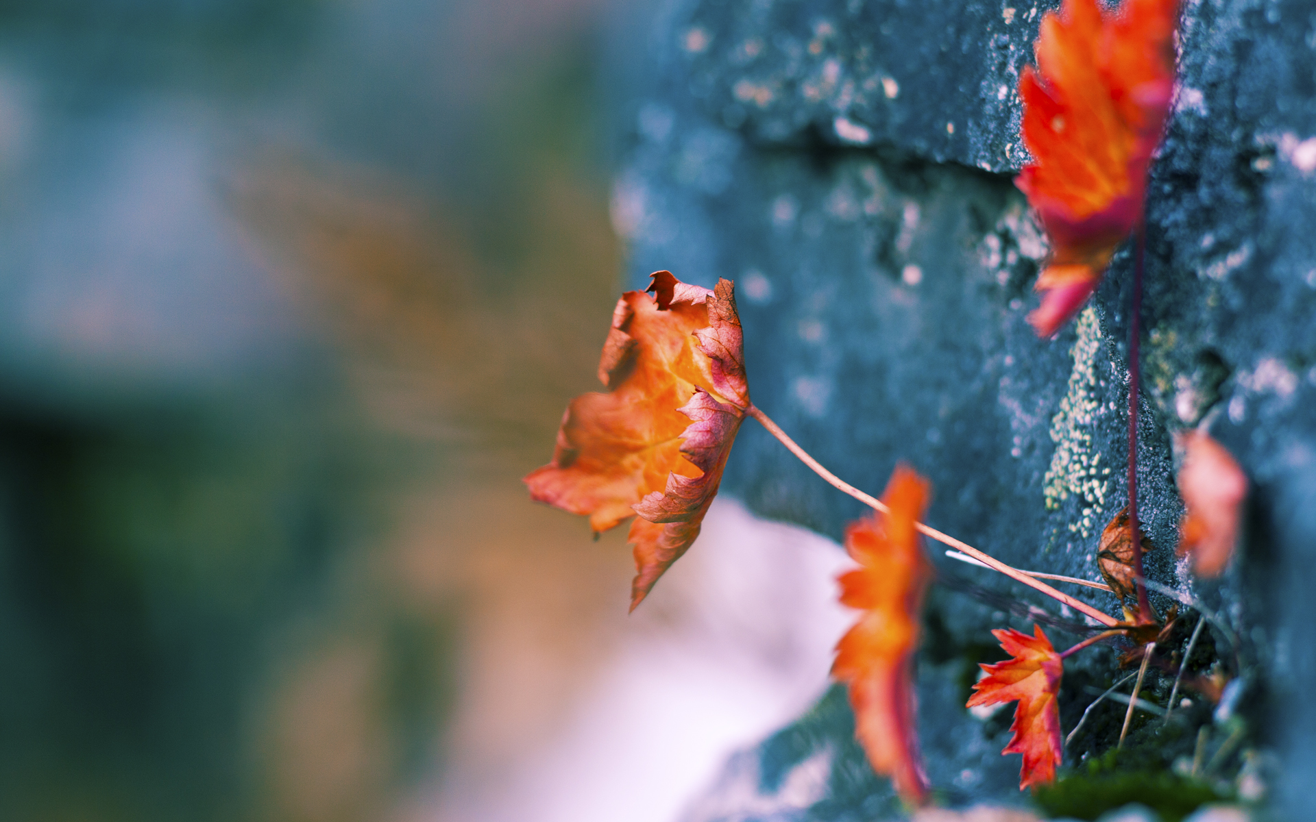 双线奇迹，乌克兰掀翻西班牙巨人，金玟哉刷新亚洲球员身价纪录