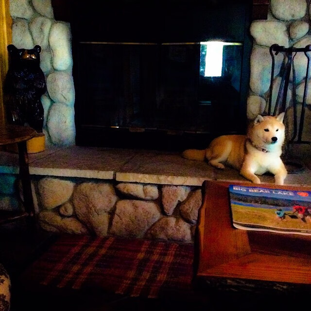 开云体育APP下载-当铁血战车遭遇战术手术刀,勒沃库森哲学与斯通斯的冠军脊椎