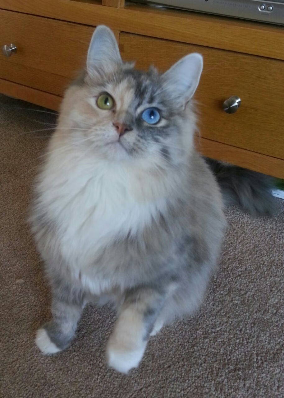 开云体育平台APP-跨界统治力，当灰熊锁死热火，伦纳德在西甲德比宣告王权