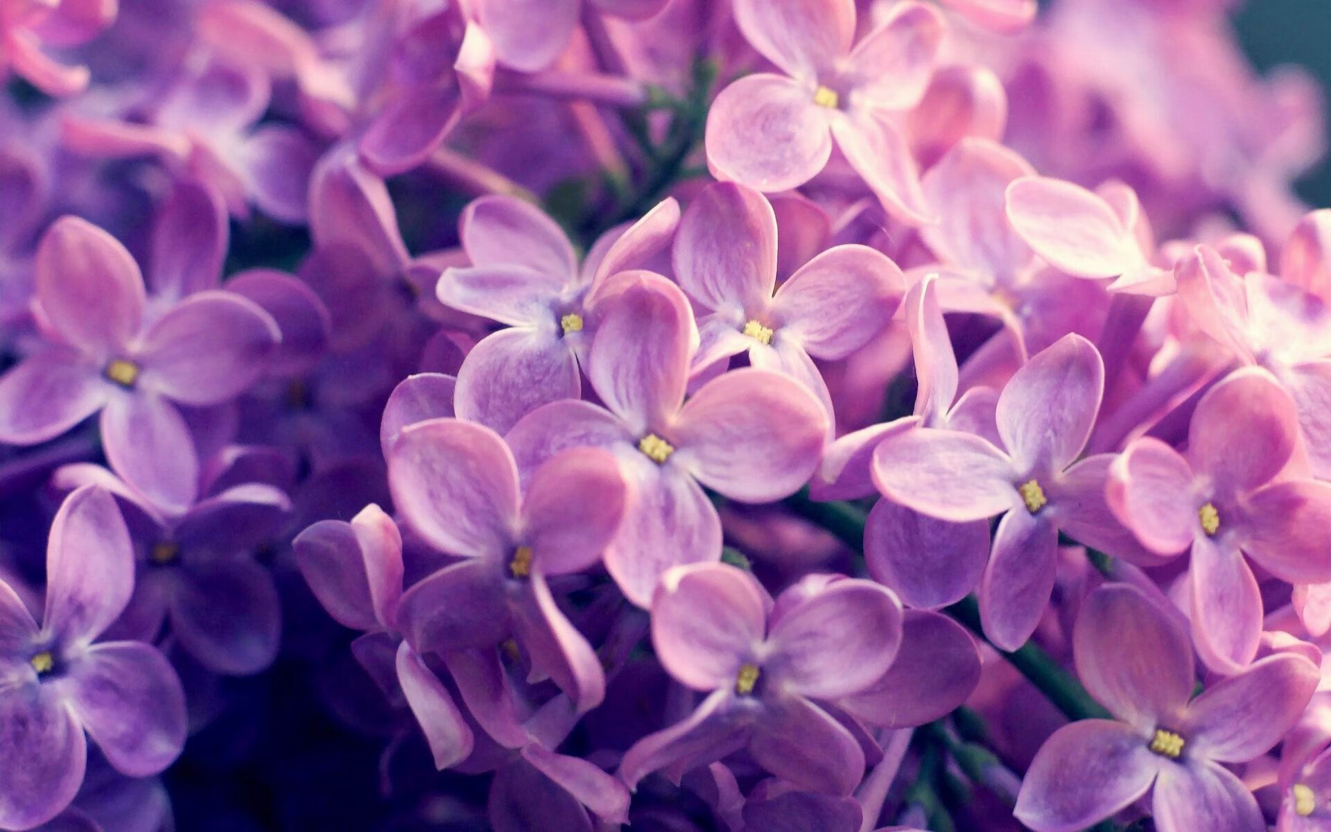 开云体育入口-加维的幻影突破，当西班牙金童穿越至法苏之战，防线在真实与虚构间崩塌