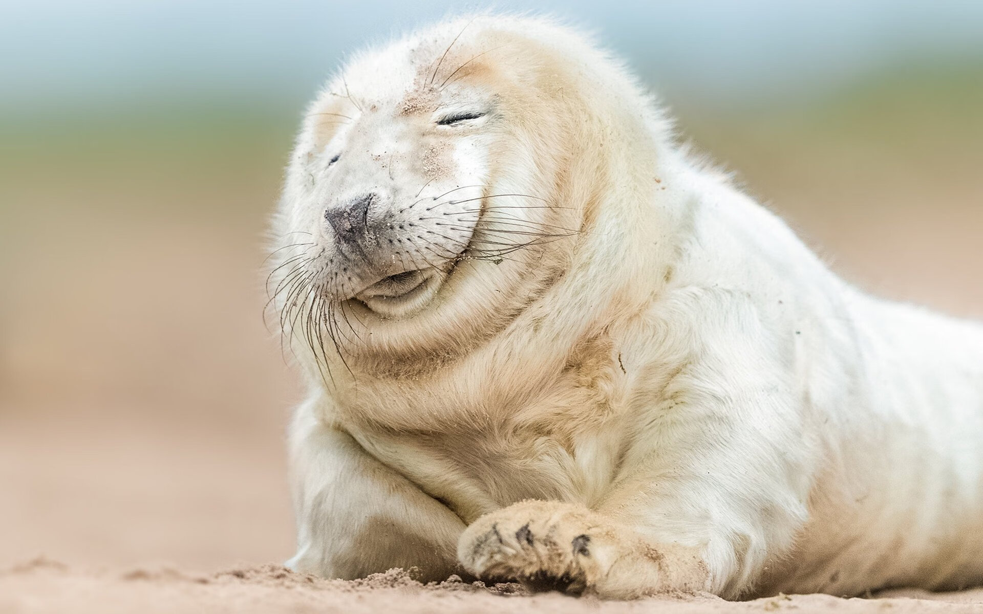 1.冰冷雷霆，机械之心，伦纳德的沉默掀翻独行侠狂想曲