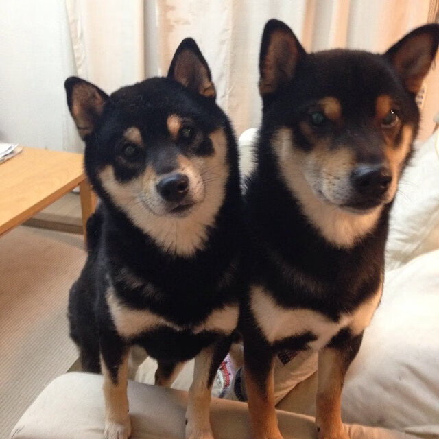 巴格达弧线终结都灵王朝，当西决战火映照绿茵场