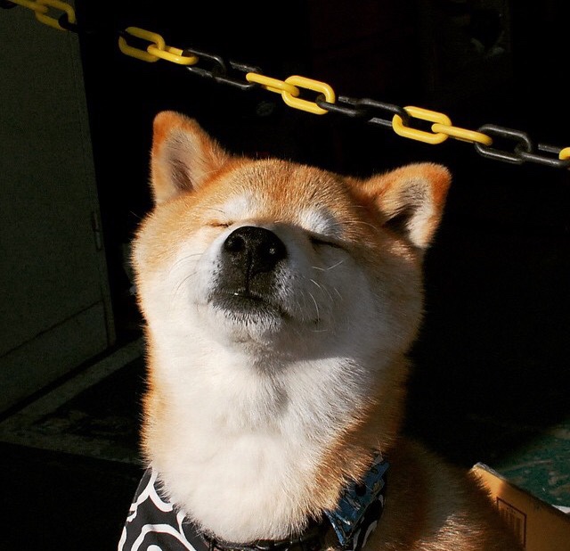 开云官网-冰封高原，爵士窒息防守下的唯一关键先生