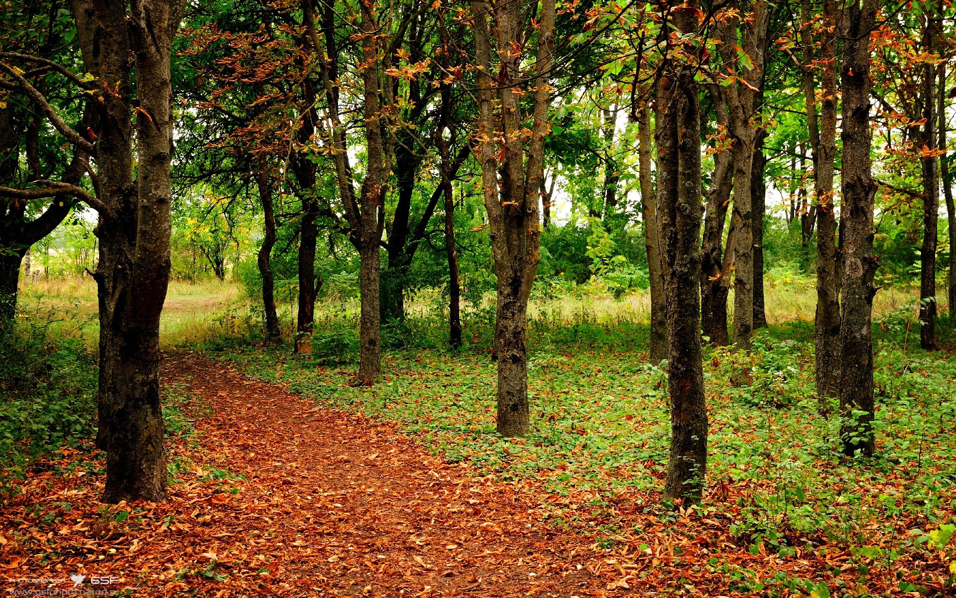 冰与火的弧线,从东莞寒夜到马尼拉黎明—哈登的2026救赎之路