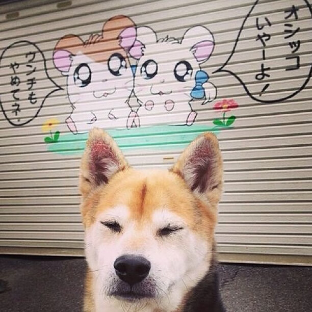 当库尔图瓦降临中北美—哥斯达黎加门神导演史诗级翻盘牙买加