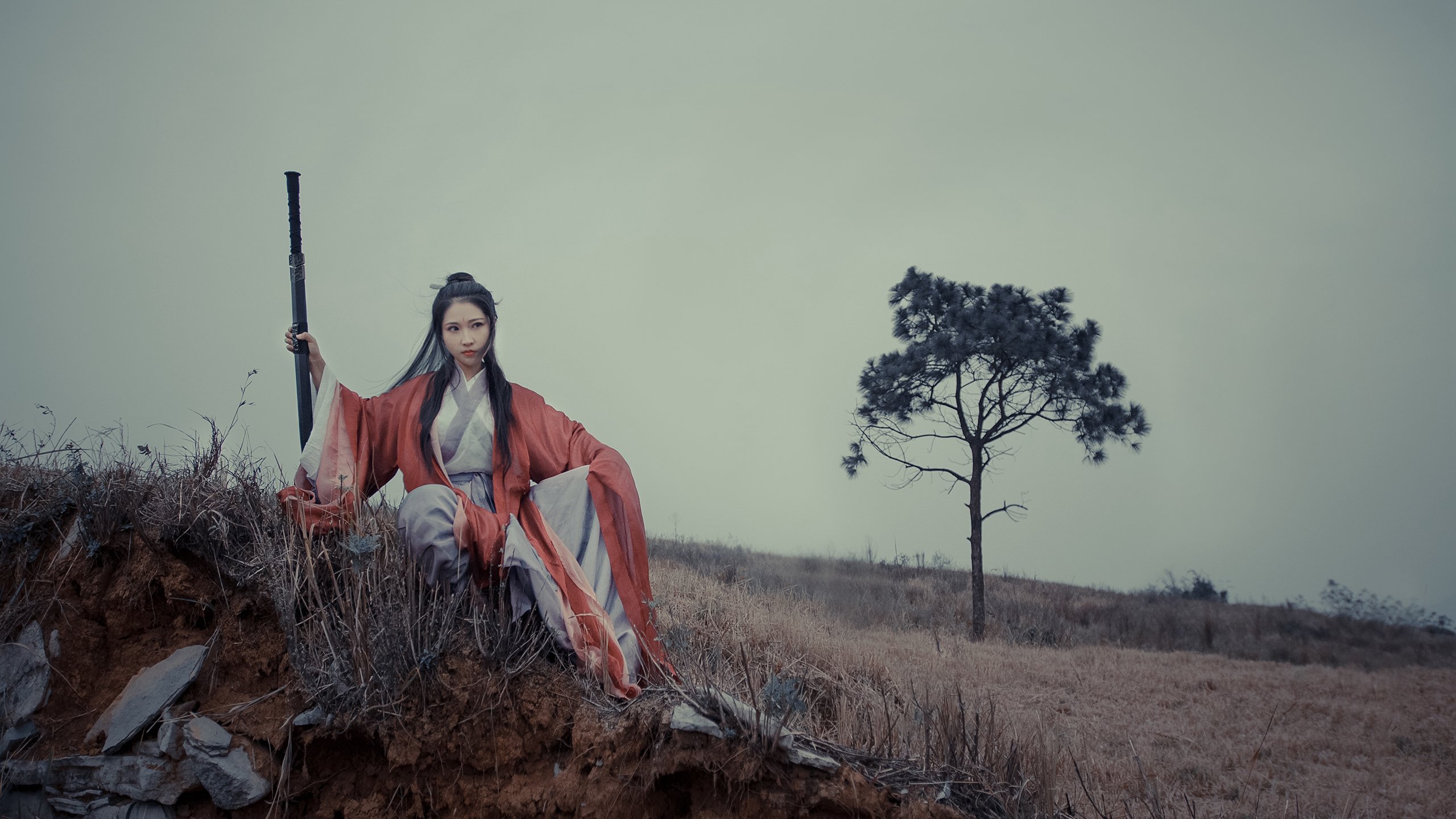 双城记，东契奇末节主宰与太阳的团队闪电战