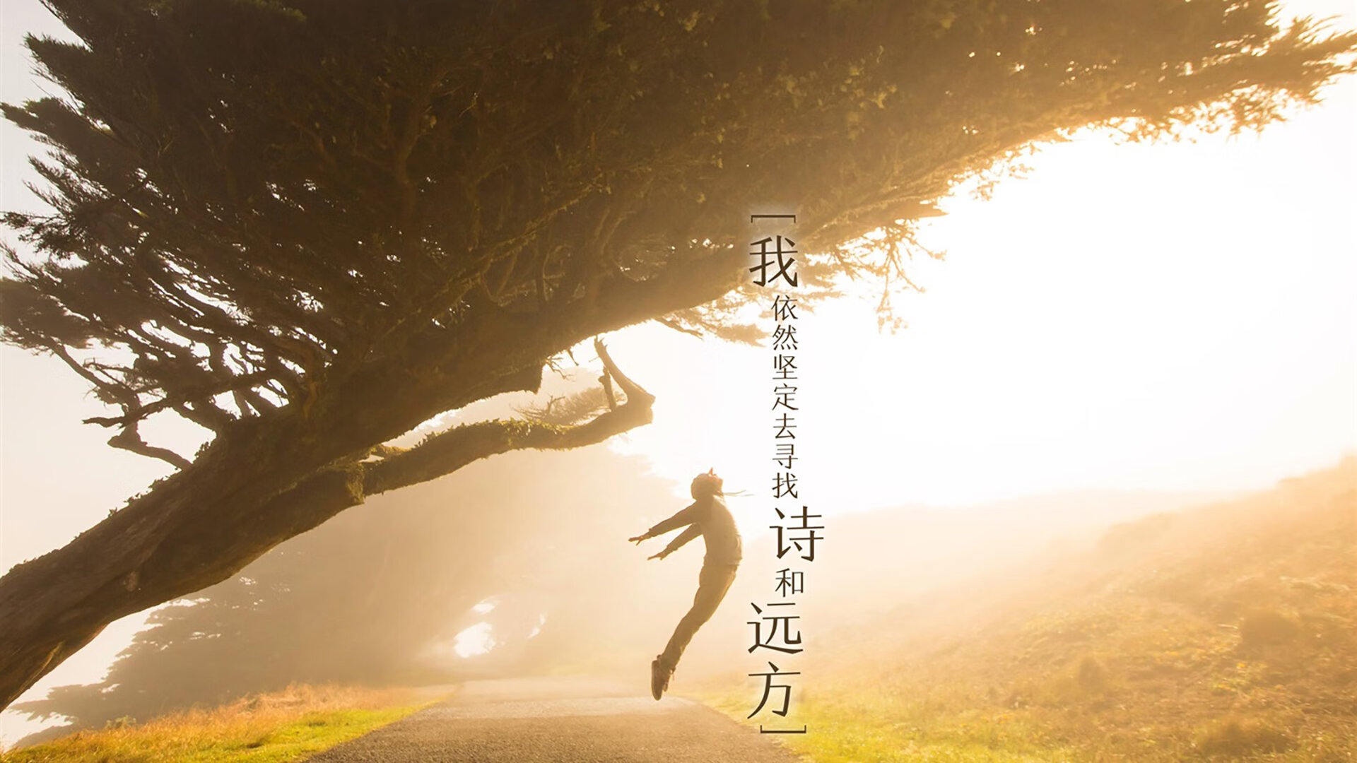 要写出唯一性，最好的方式不是解释这个场景为什么发生（那会很牵强）而是直接把这个画面当作一个既定事实，去构建一个魔幻现实主义、甚至带有史诗感的足球战争叙事