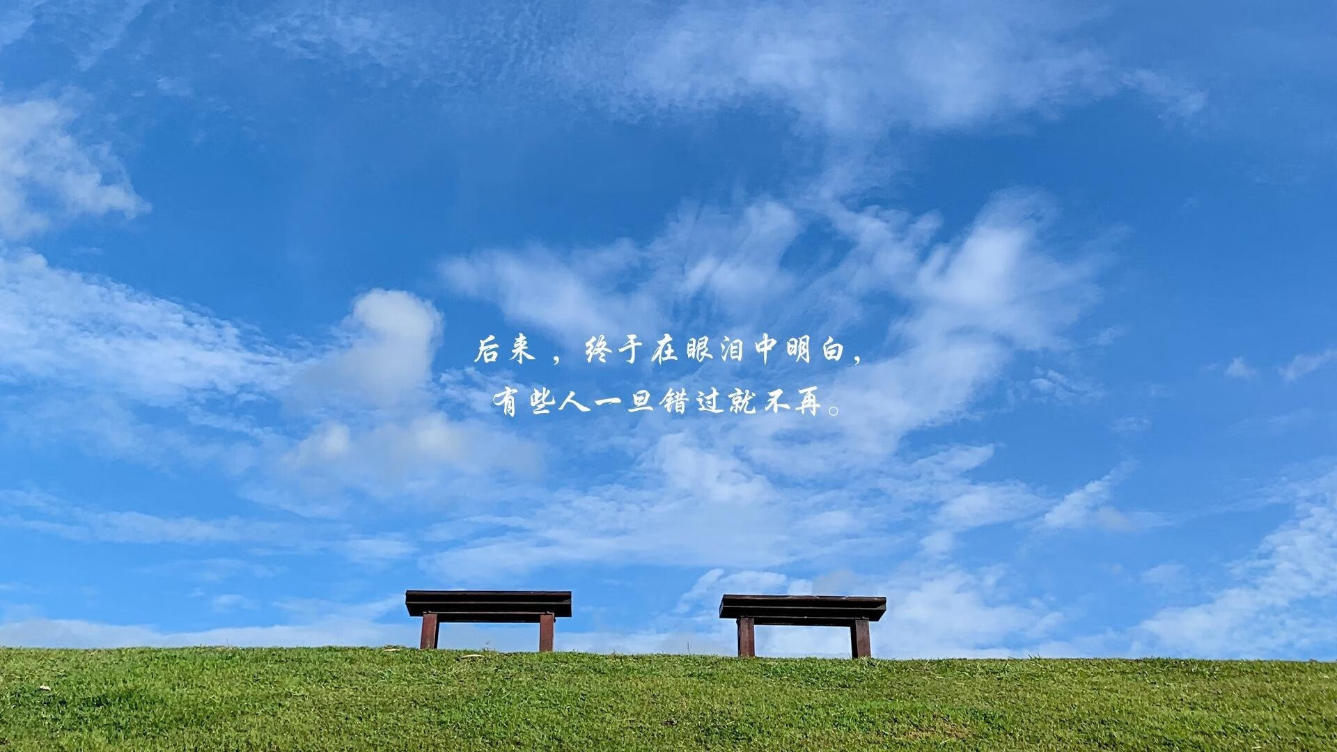 这是一篇为您定制的深度分析文章,基于您给出的关键词